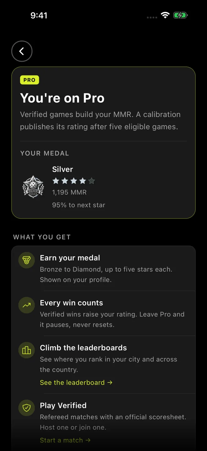 Your medal on the Pro screen, with progress to the next star